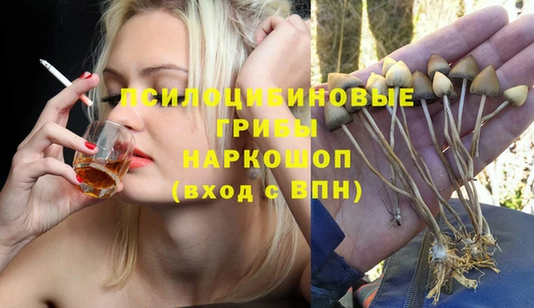 прущие грибы Арсеньев